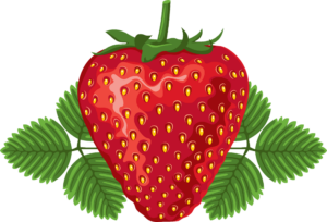 Strawberry Png Vector Image
