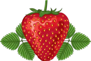 Strawberry Png Vector Image