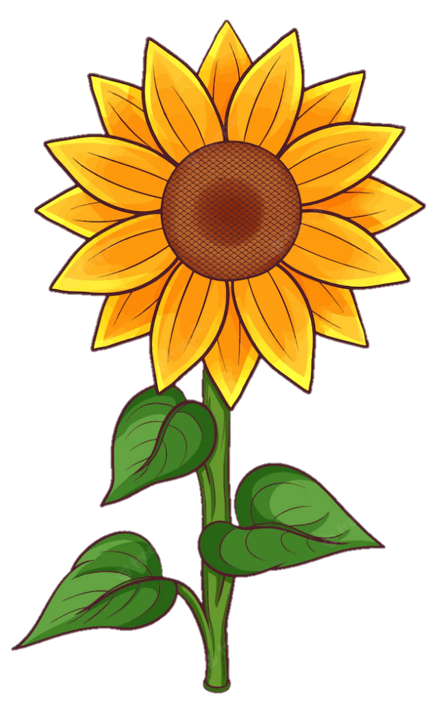 Free Sunflower Png Clipart Download 