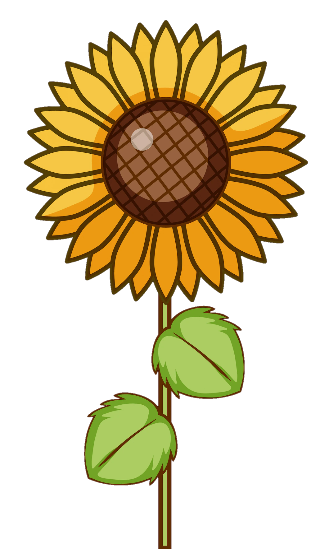 sunflower-png-image-from-pngfre-24