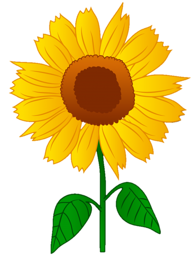 sunflower-png-image-from-pngfre-27