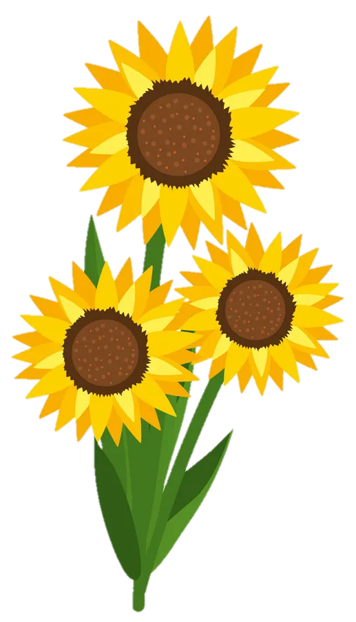 Sunflower Png vector image