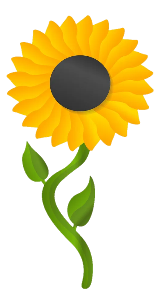 Sunflower Png Clipart