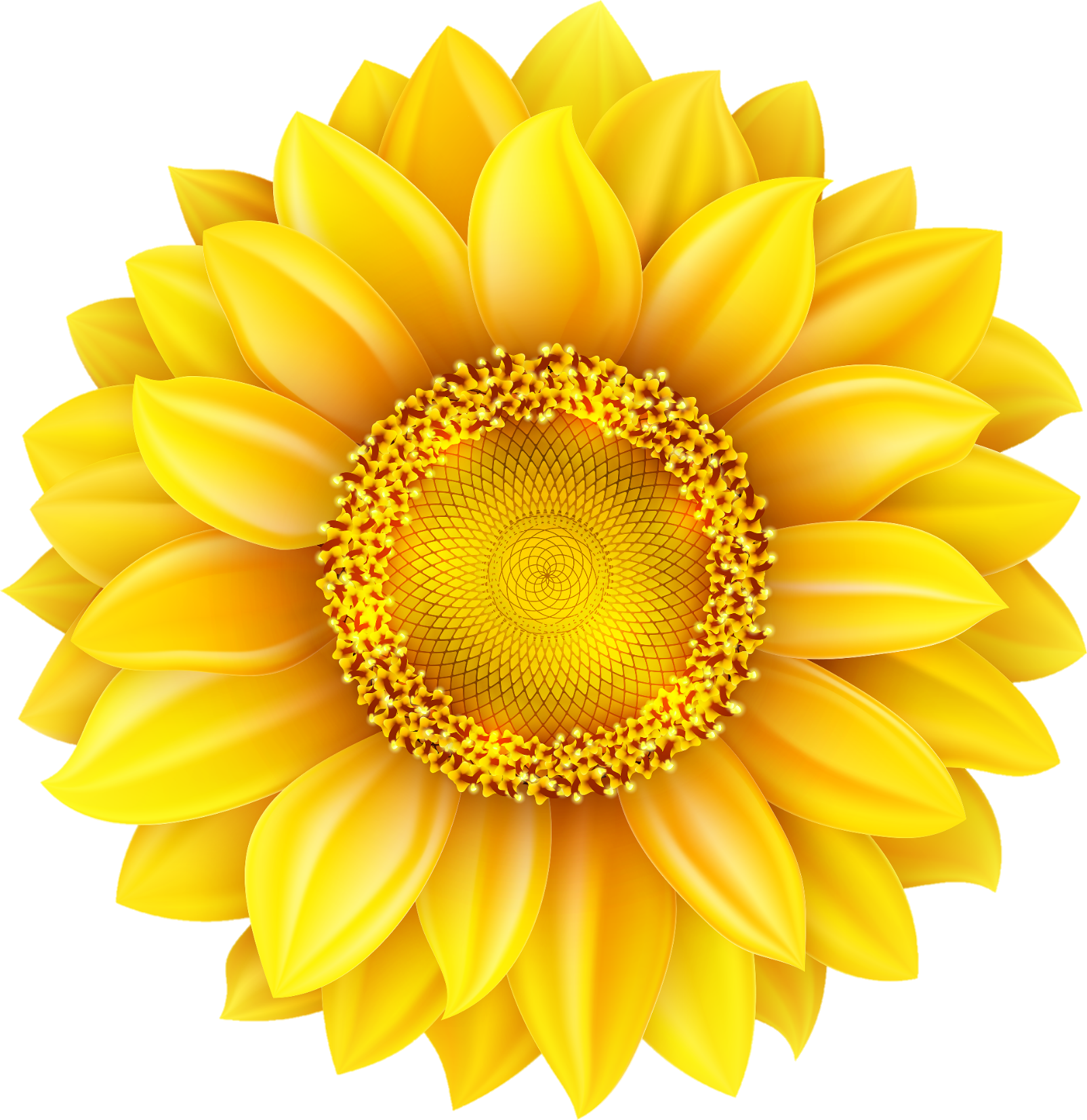 sunflower-png-image-from-pngfre-3-1