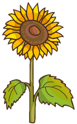 sunflower-png-image-from-pngfre-32