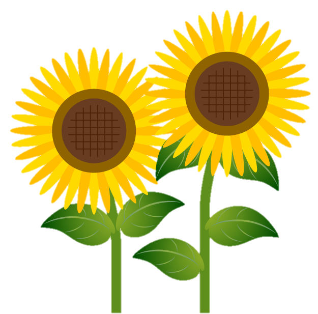 Sunflower Png Vector image