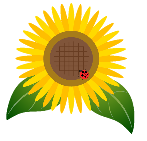 Sunflower Png Vector 