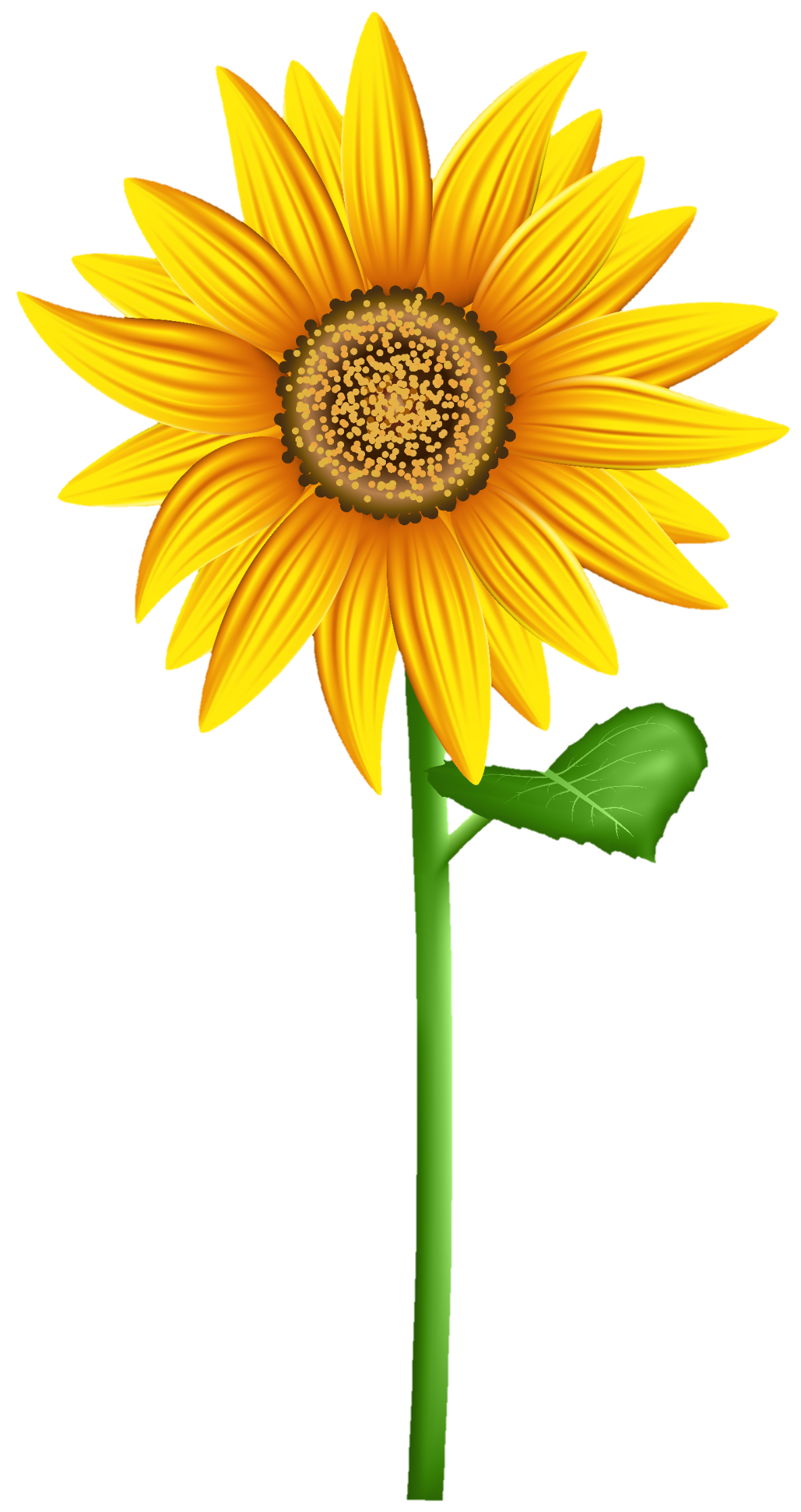 sunflower-png-image-from-pngfre-4-1