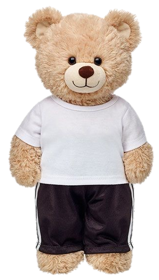 Boy Teddy Bear Png