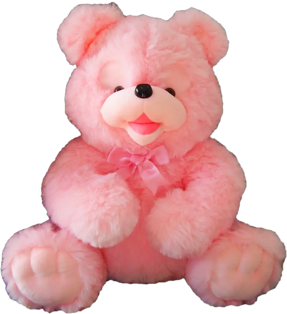 Pink Teddy Bear PNG