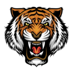 Tiger Png Transparent Image