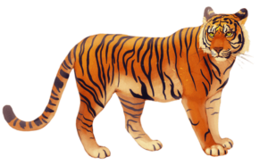 Tiger Png Clipart