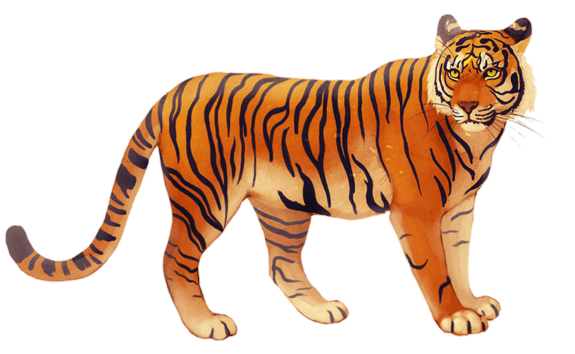tiger-37