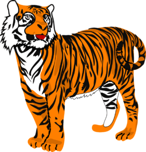 Vector Tiger Png