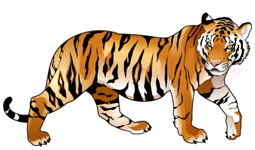 tiger-39