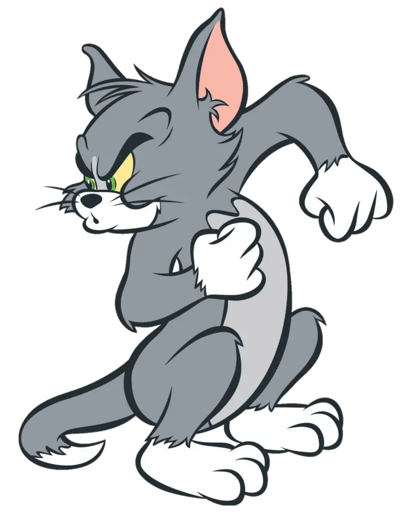 tom and jerry tom mad