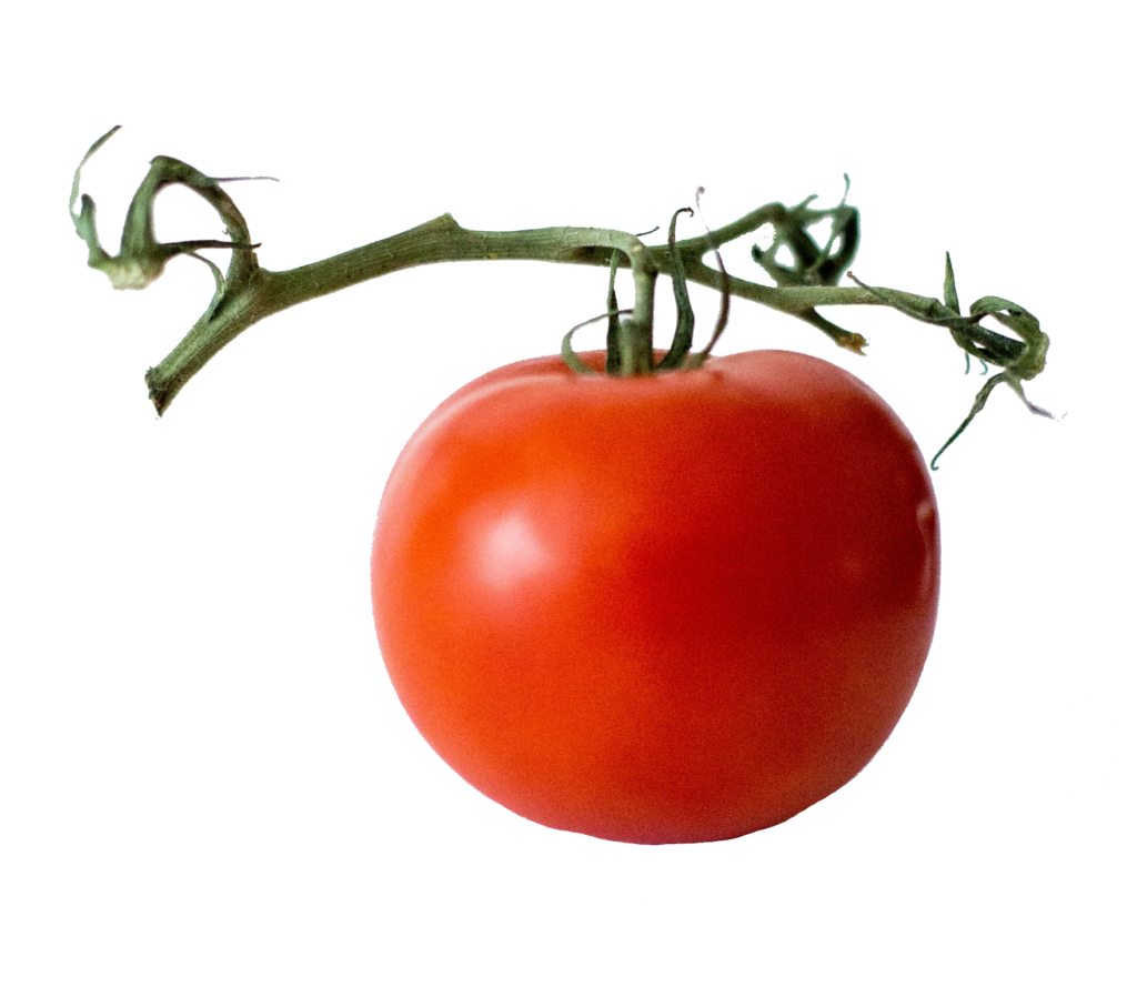 Real Tomato Png