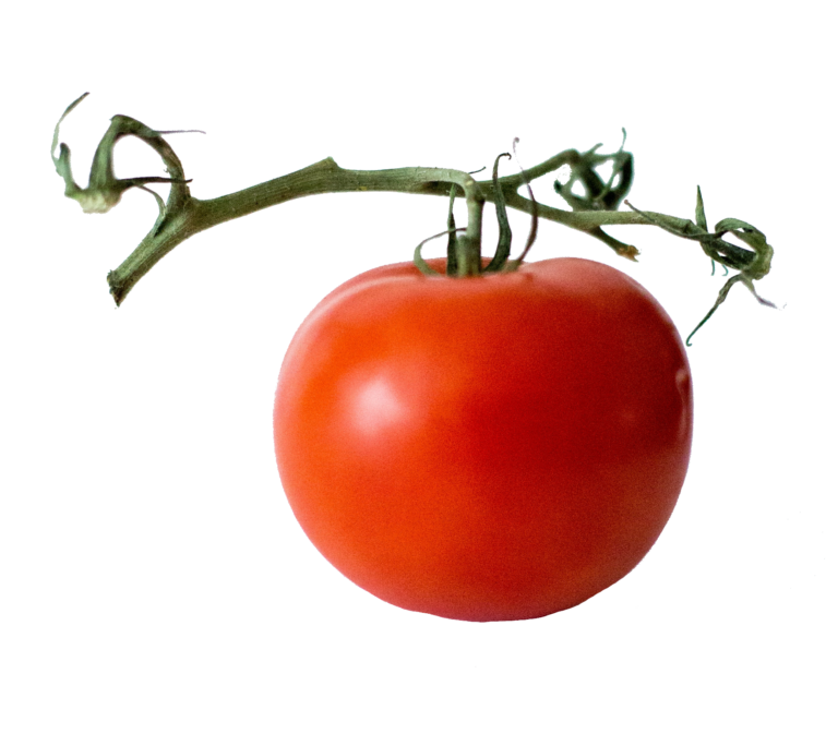 Tomato PNG Transparent Images Free Download Pngfre