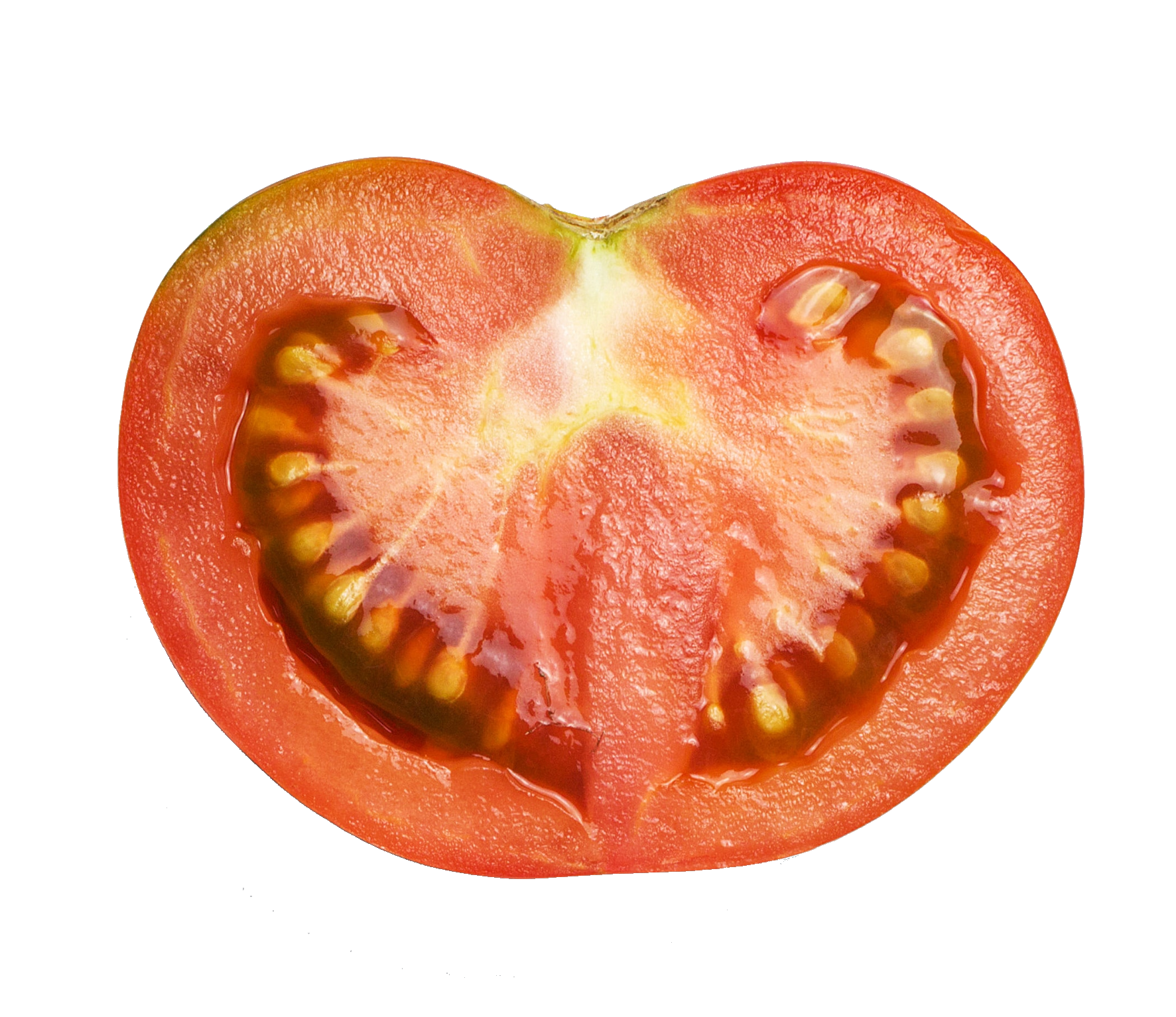 tomato-42