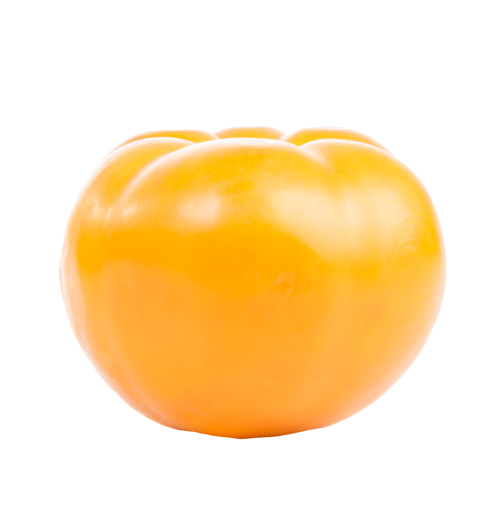 tomato-43