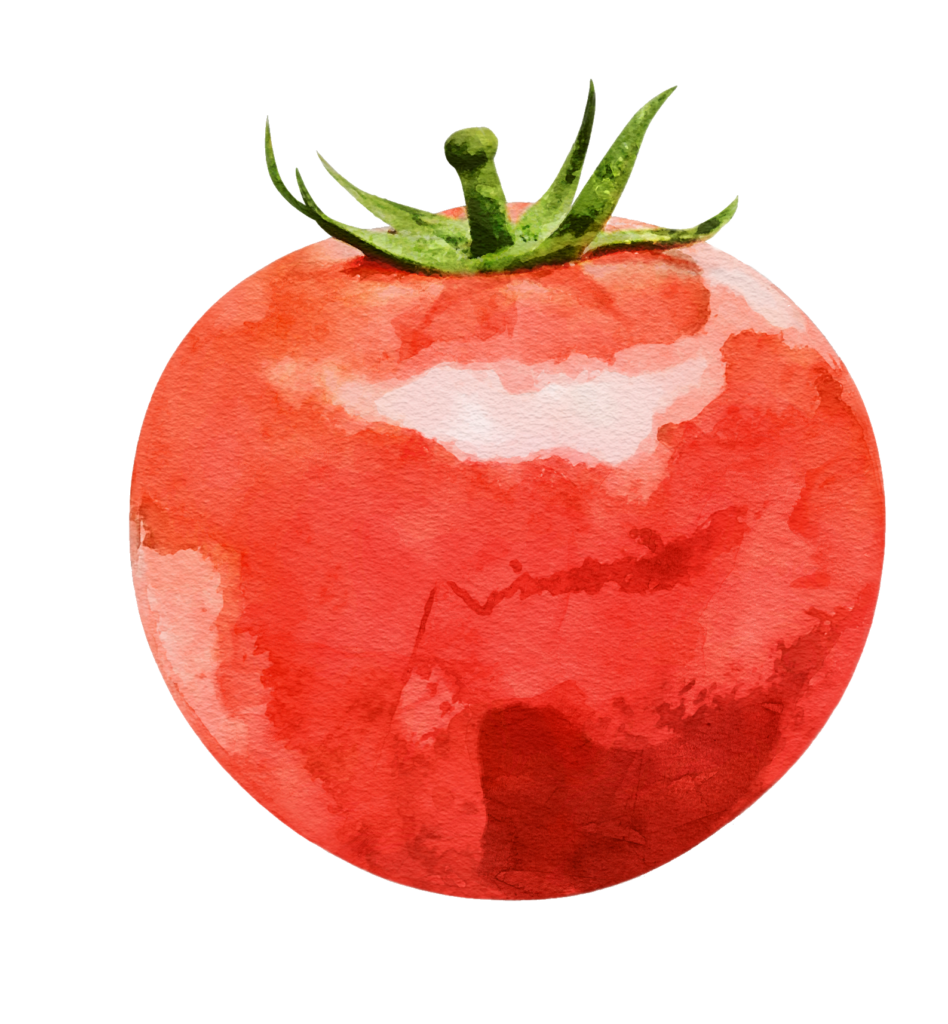 Watercolor Tomato Png