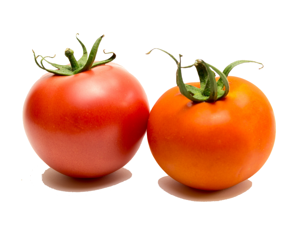 Two Tomato Png