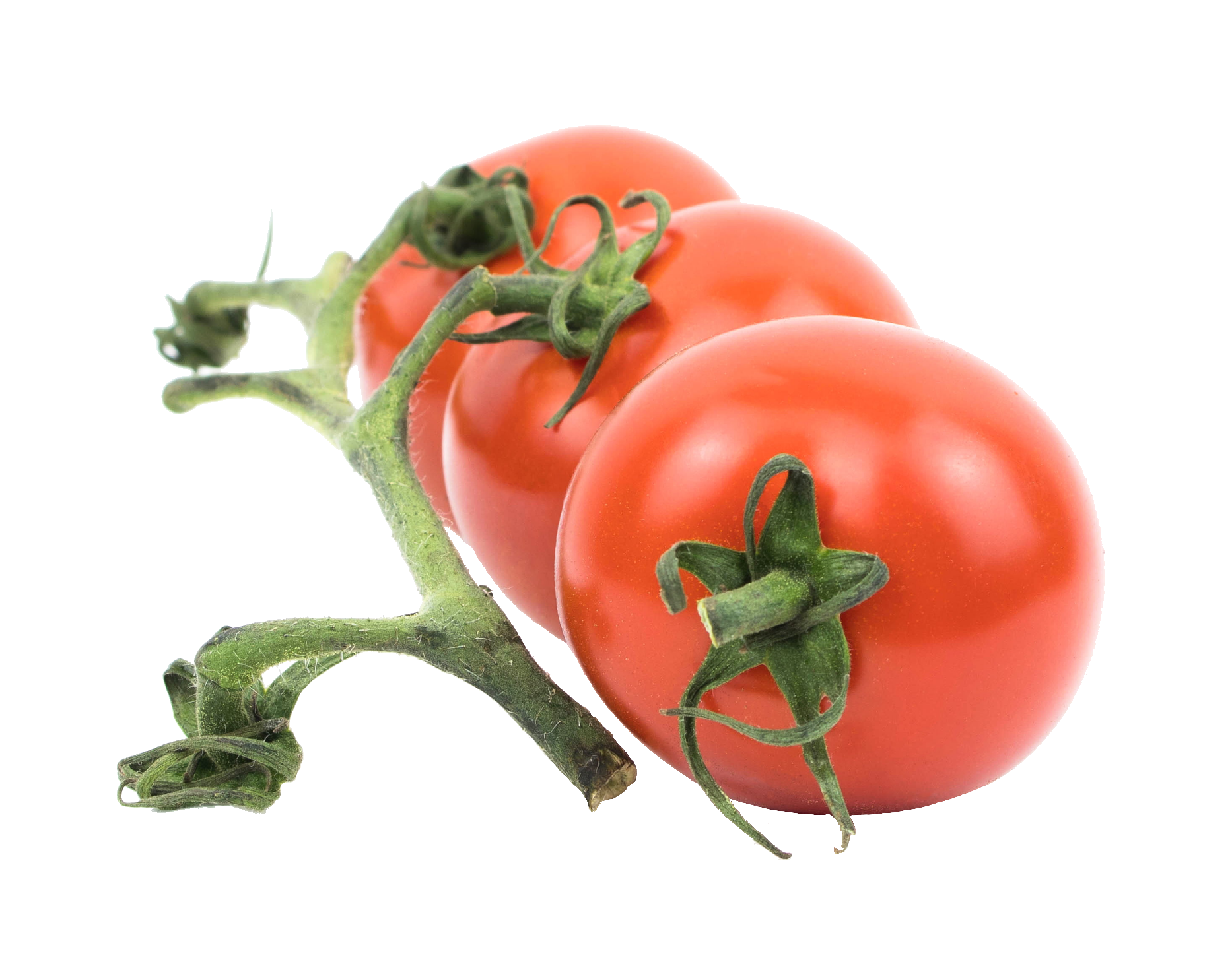 tomato-57