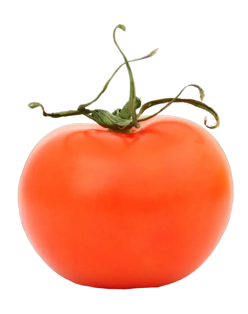 Tomato Png Image