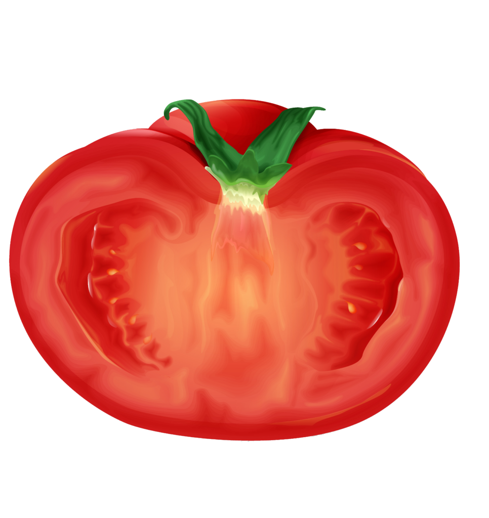 Half Tomato Clipart Png