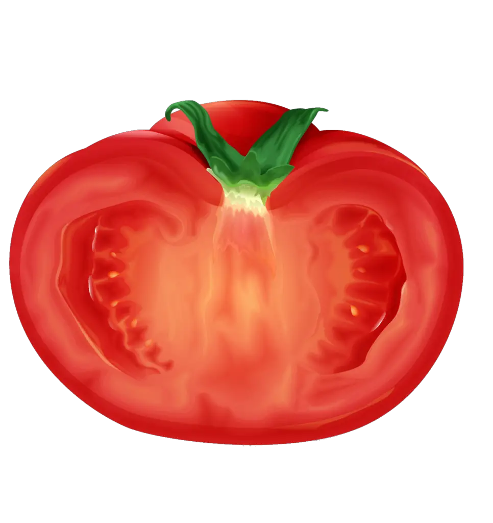 clipart tomatoes