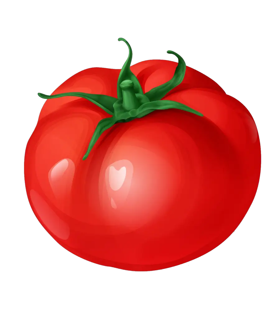 tomatoes clipart