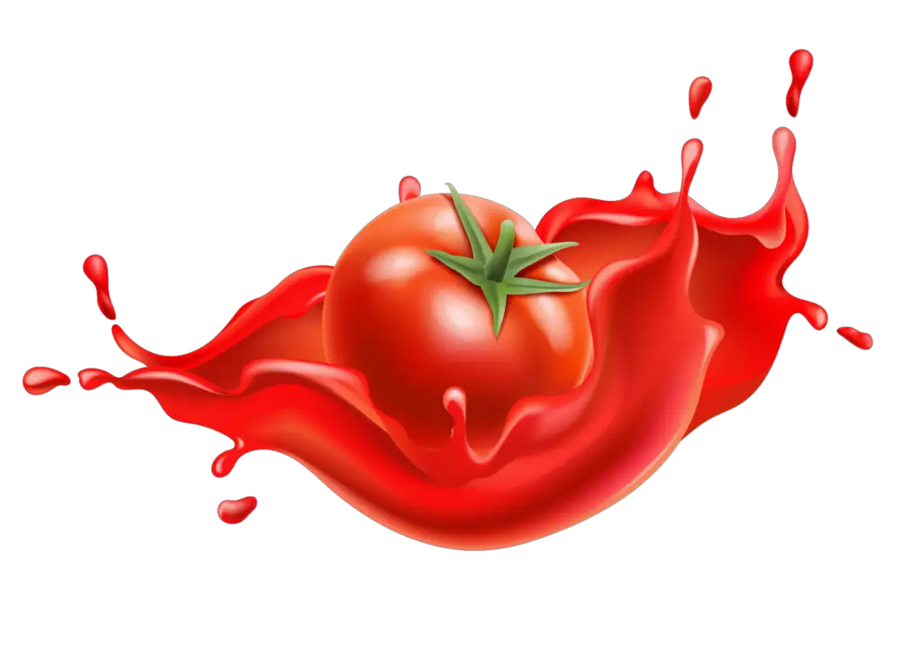 free vector tomato clipart png