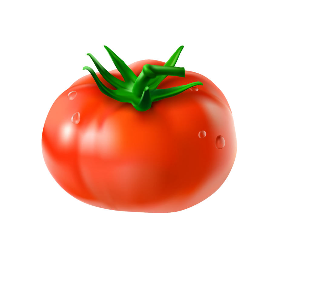 Tomato Illustration Png