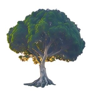 HD Tree PNG