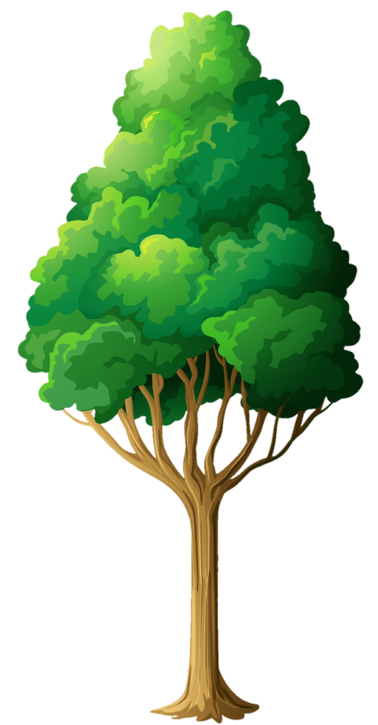 Tree clipart PNG