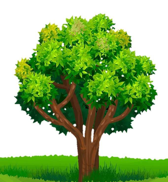 tree-png-from-pngfre-10