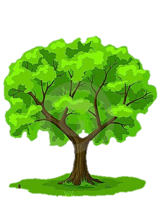 Cartoon Tree PNG