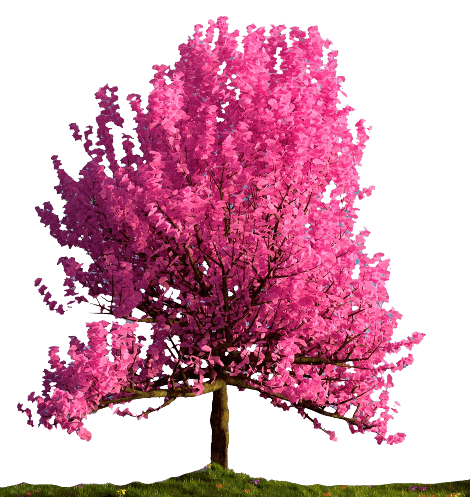 tree-png-from-pngfre-3