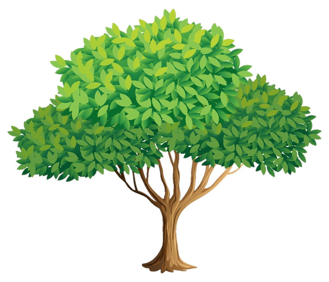 tree-png-from-pngfre-34