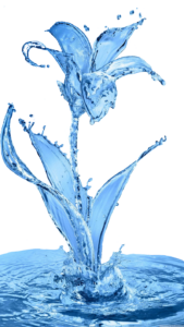 water101