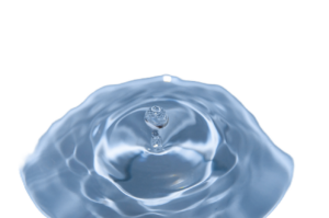 water113