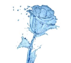 water116