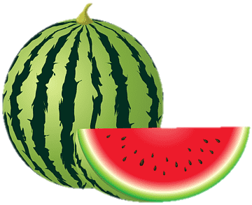 watermelon-1