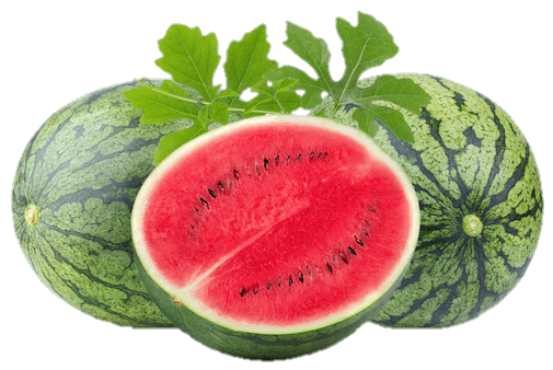watermelon-10