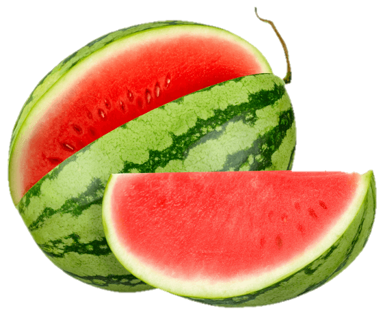 watermelon-11
