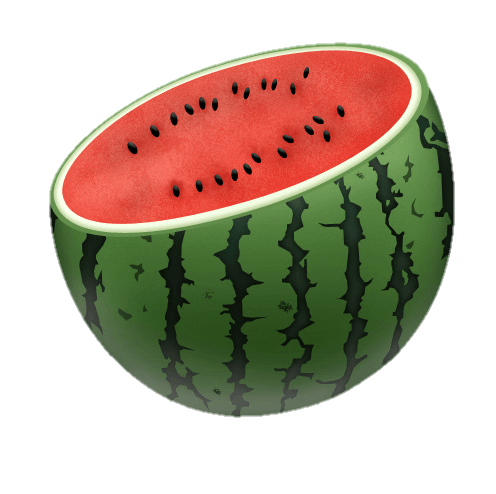 watermelon-12