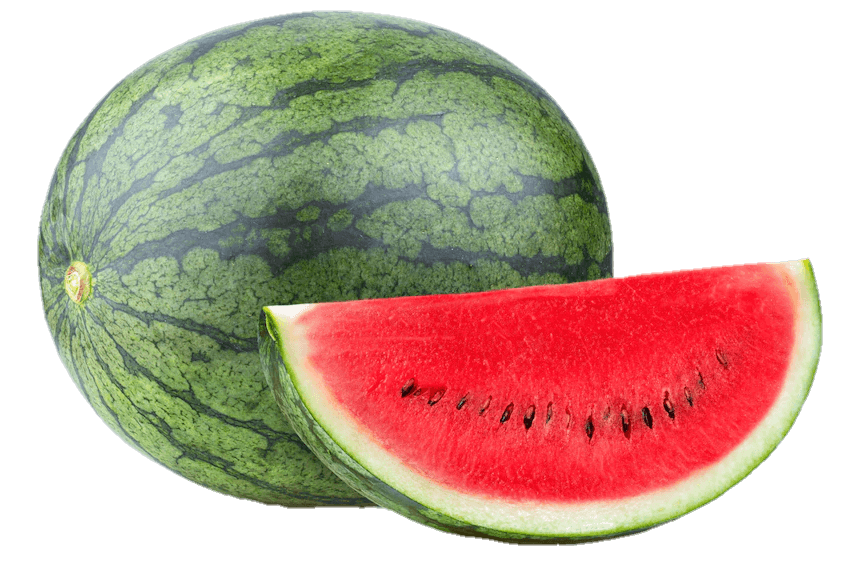 watermelon-14