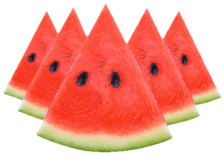 Slices watermelon png