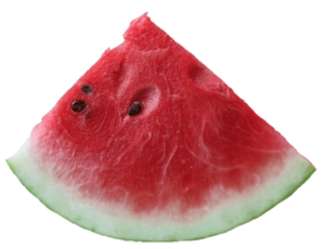 Slice watermelon png