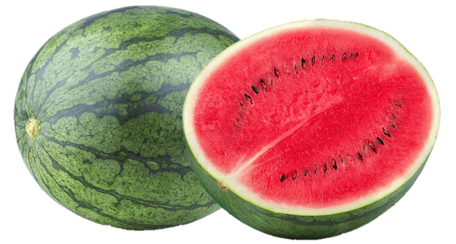 watermelon-18